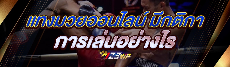 แทงมวยออนไลน์ มีกติกาการเล่นอย่างไร