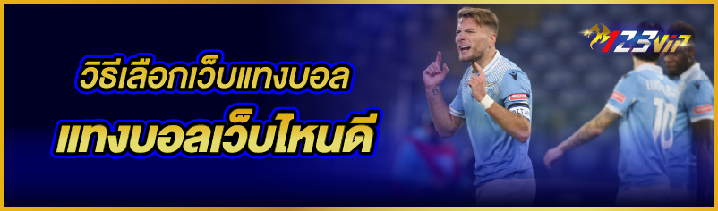 วิธีเลือกเว็บแทงบอล แทงบอลเว็บไหนดี